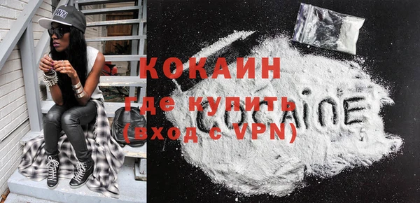 индика Абинск