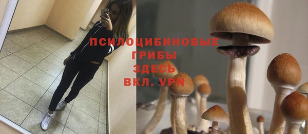 твердый Абдулино