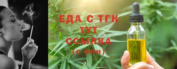 индика Абинск