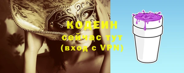 индика Абинск