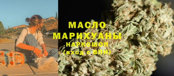 индика Абинск
