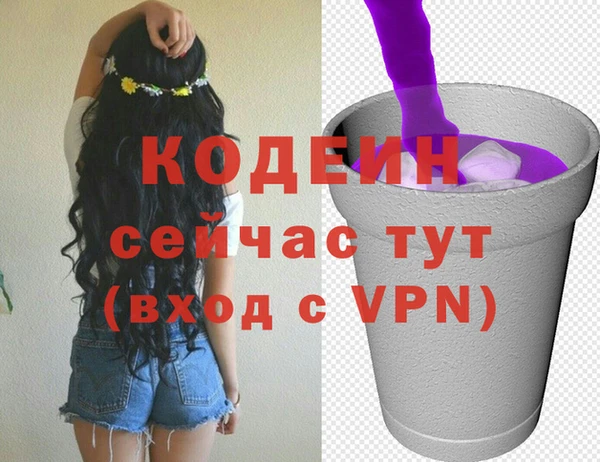 индика Абинск