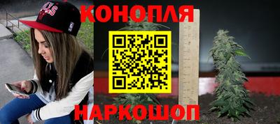 прущие крисы Лесосибирск