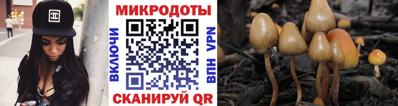 Псилоцибиновые грибы MAGIC MUSHROOMS  Ивантеевка 
