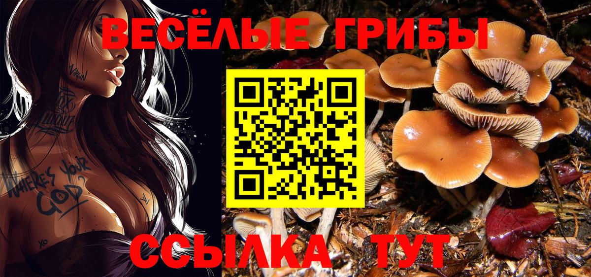 Галлюциногенные грибы MAGIC MUSHROOMS  Вход с VPN  Ивантеевка 
